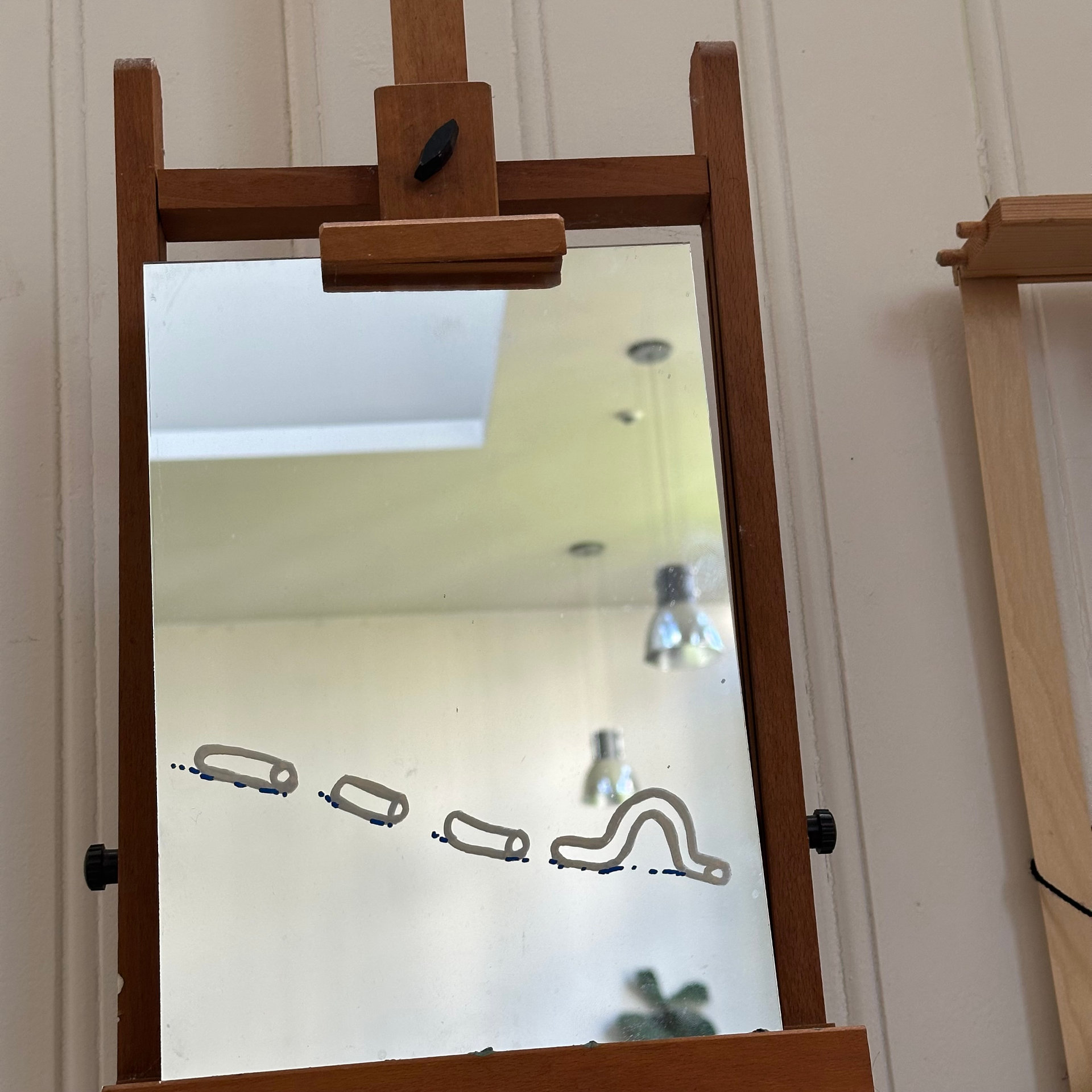 Spiegel met een kruipende worm opgetekend Spiegel met een kruipende worm opgetekend